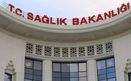 Sağlık Bakanlığı'ndan 81 İle Yazı: Sahipsiz Hayvanlara Karşı Yeni Önlemler Alınıyor