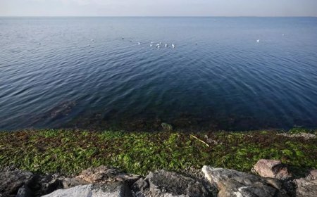 Ege Denizi'ndeki Depremler Turizmde Erken Rezervasyonları Olumsuz Etkilemedi