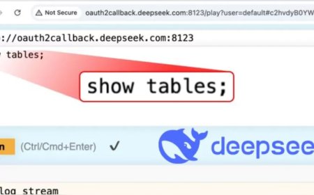 DeepSeek AI Veri Sızıntısı: 1 Milyondan Fazla Günlük ve Gizli Anahtar Ele Geçirildi