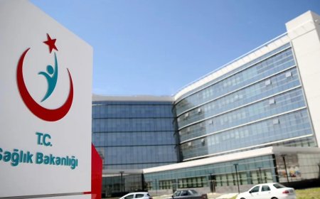 Başıboş sokak köpekleri için yeni tedbir: Sağlık Bakanlığı devreye girdi