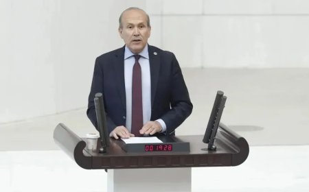 NAMIK TAN: ‘Ülke, nepotizm ve kleptokrasi hastalıklarının pençesinde’