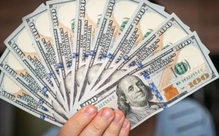 Dolar ve Euro’da Son Durum: 6 Şubat Güncel Döviz Kurları