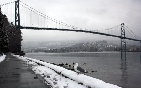 İstanbul'da Kar Engeli: 7 İlçede Okullar Tatil Edildi