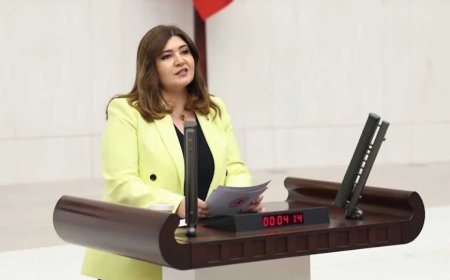 İYİ Parti Tekirdağ Milletvekili Selcan Taşcı: 'Çocuklarımızı hem suçtan koruyamıyoruz hem de suça itiyoruz!'