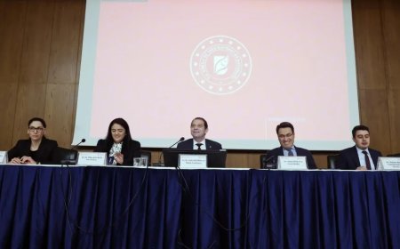YEKA-GES Yarışmalarına Rekor Katılım: 67 Şirketten 146 Başvuru
