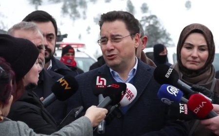 Ali Babacan: 'Yangınlarda Sorumlular Net Olarak Belirlenmeli'