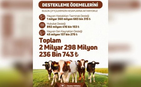Adana, Gaziantep, Malatya ve Osmaniye’de Çiftçilere 892 Milyon TL Hububat Desteği