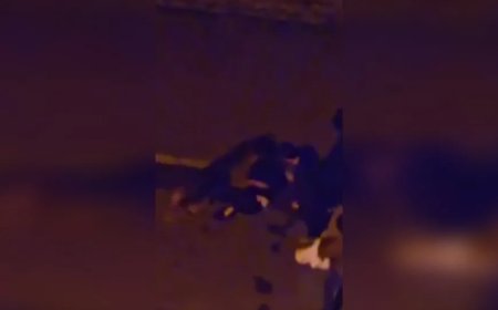Giresun’da sokak köpeği saldırısı: Kadın boğazından ağır yaralandı