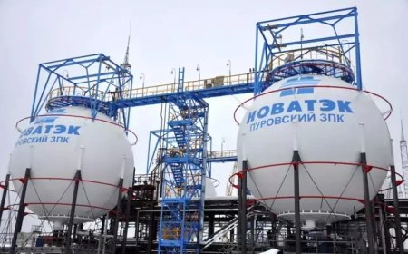 Novatek'in Net Karı 553 Milyar Rubleye Ulaştı, Gelirlerde Dikkat Çeken Artış