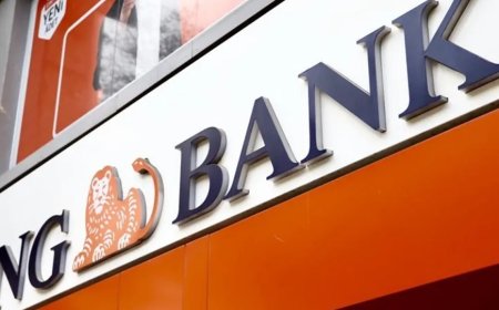 ING Türkiye'nin 2024 net kârı 2,2 milyar TL'ye ulaştı