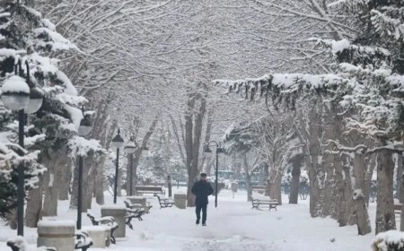 İstanbul’da Kar Yağışı Etkisini Artırdı: 7 İlçeye Sarı Kodlu Uyarı