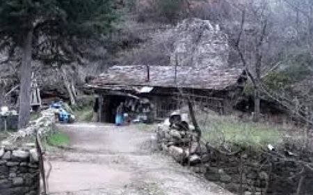 Manisa'da 200 Yıllık Değirmen Yeniden Çalışmaya Başladı