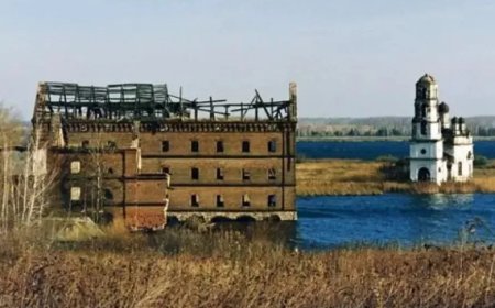 Nükleer Felaketin Kurbanı: 83 Gün Boyunca Yaşayarak Yandı!