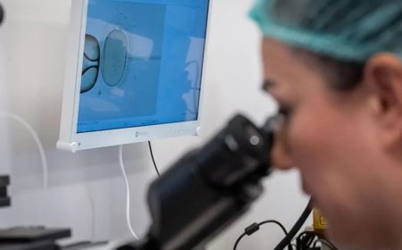 Türkiye'de tüp bebek tedavisine erişim adaletsiz mi? Milyonlarca aile zorluklarla karşılaşıyor