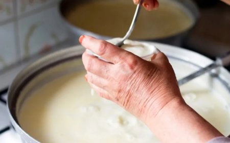Her Gün Yoğurt Yemek Ömrü Uzatıyor! İşte Bilimsel Araştırmaların Sonuçları