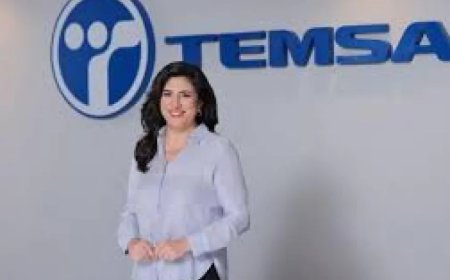 TEMSA, 2020-2024 DÖNEMİNDE CİROSUNU 20 KATINA ÇIKARDI: "YÜKSEK BÜYÜME REKORU"