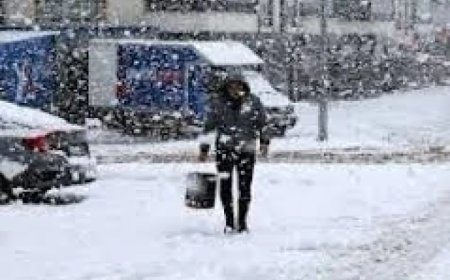 Artvin’de parçalı ve çok bulutlu hava, yağışlı geçecek