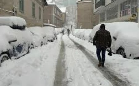 Rize’de parçalı bulutlu hava, aralıklı yağış etkili olacak