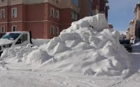 Bitlis’te kar yağışı ve soğuk hava etkili olacak