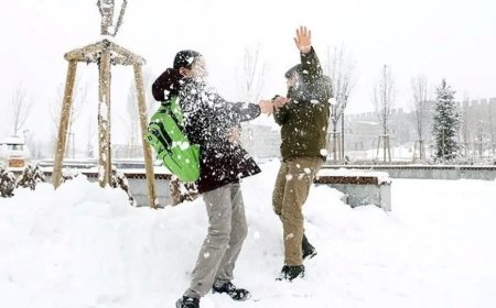 Ardahan’da soğuk hava ve kar yağışı etkili olacak: Bugün dikkat!