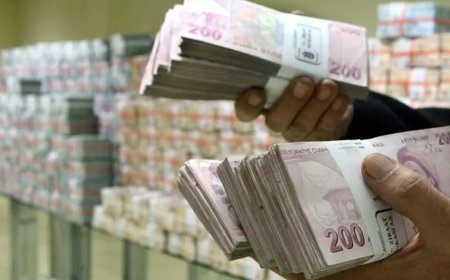 KKM’den Çıkan 2,4 Trilyon Lira Sonrası Dövize Geçiş Beklentiyi Aşmadı