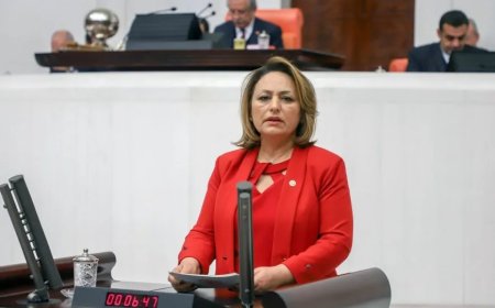 Müzeyyen Şevkin: 'Adana'nın İlçeleri Hükümetin İzini Bile Görmüyor, Vatandaş Yaşam Savaşı Veriyor'