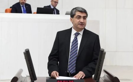 Mehmet Emin Ekmen: 'Göksu Deltası, Yargı ve Kadına Şiddet Konusunda Acil Adım Atılmalı'