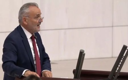 Mehmet Akalın: 'Göcek Koylarındaki Dev Projeler Ekosistemi Tehdit Ediyor'