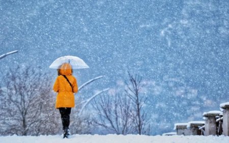 Ordu’da yağmur ve yüksek kesimlerde kar yağışı bekleniyor