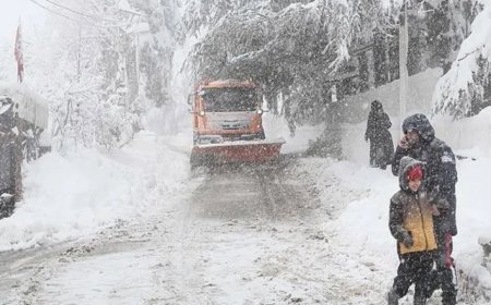 Trabzon’da yağmur etkili olacak: Yüksek kesimlerde kar bekleniyor