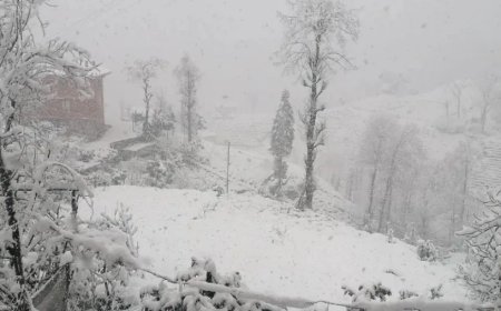 Rize’de yağmur etkili olacak: Yüksek kesimlerde kar bekleniyor