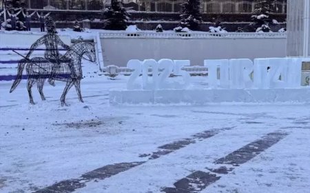 Ardahan’da dondurucu soğuk ve kar yağışı etkili olacak
