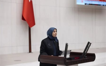 DEVA Partili Elif Esen: 'Adalet Akademisi savunma makamını zayıflatıyor, yürütmenin etkisi durdurulmalı'
