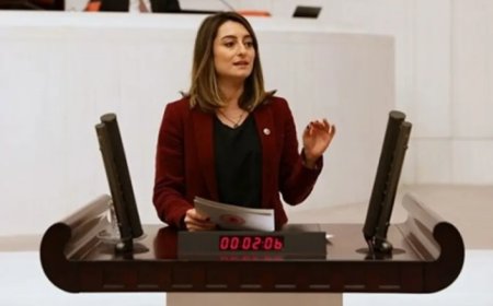 CHP’li Aysu Bankoğlu: 'Mustafa Kemal’in askerlerini ihraç ederek cumhuriyet değerlerini hedef alıyorsunuz'