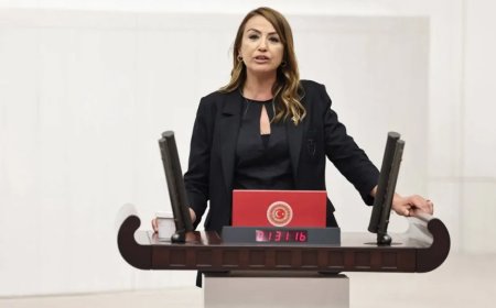 CHP’li Nermin Yıldırım Kara: 'İskenderun’un en büyük mahallesine hastane şart'