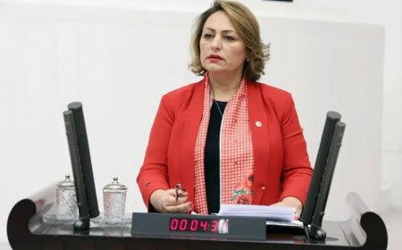 CHP Adana Milletvekili Müzeyyen Şevkin: 'İliç Maden Faciası, İhmallerin ve Denetimsizliğin Bedelidir'