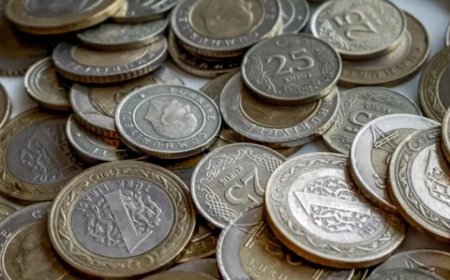Cebinde 1 TL olan hemen kontrol ediyor! 2014 basım hatalı paralar değer kazandı!