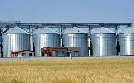 Lisanslı Depoculuk Kapasitesi 12 Milyon Tonu Aştı