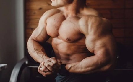 Güçlü Kaslar İçin Ne Kadar Proteine İhtiyacınız Var?