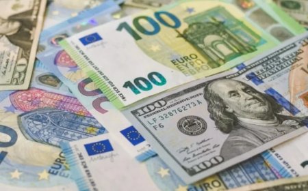 14 Şubat 2025 Döviz Kurları: Dolar ve Euro'daki Son Durum!