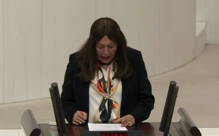 İYİ Partili Şenol Sunat: 'İktidar, Ekonomik Çöküşü Maskeliyor, Halkı Aldatıyor'