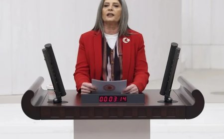 CHP'li Sibel Suiçmez: 'Yargıyı Siyasallaştırarak Hukuk Devleti İlkeleri Yok Edildi'