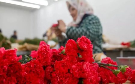 Sevgililer Günü'nde Çiçek Siparişi Rekoru Kırıldı: Çiçekçiler Yoğun Talebe Hazır!