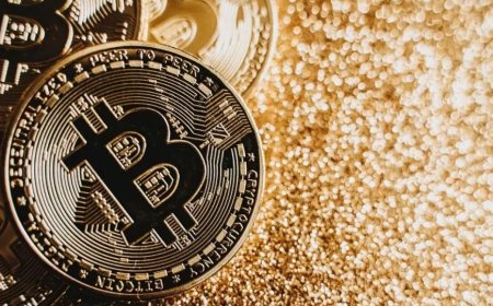 Kripto Suçlarında 2024 Rekoru: Dolandırıcılık ve Siber Saldırılar Zirvede
