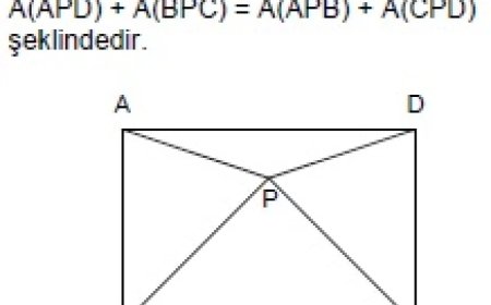 Yamuk Nedir, Özellikleri ve Alan Hesaplama Yöntemleri Nelerdir?