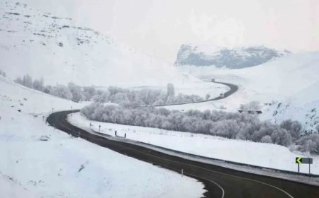 Bingöl'de 19-20 Şubat Arasında Kuvvetli Kar Yağışı ve Çığ Riski! Buzlanma ve Don Uyarısı Yapıldı