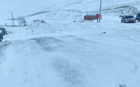 Ardahan’da 19-20 Şubat’ta Kuvvetli Kar Yağışı ve Çığ Tehlikesi Uyarısı Yapıldı