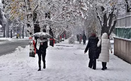 Yalova'da Kar Yağışı Başladı! Sürücüler ve Yayalar İçin Uyarılar Yapıldı