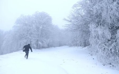 Tekirdağ'da Kar Yağışı Başladı! Trafik ve Ulaşımda Zorluklar Yaşanabilir