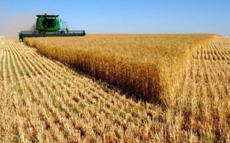 TARIM SEKTÖRÜ İHRACATLA EKONOMİYE 32,6 MİLYAR DOLAR KATKI SAĞLADI